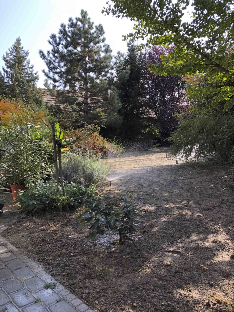 20181022_100215698_iOS 1