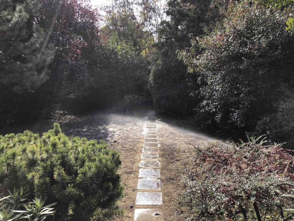 20181022_100252650_iOS 1
